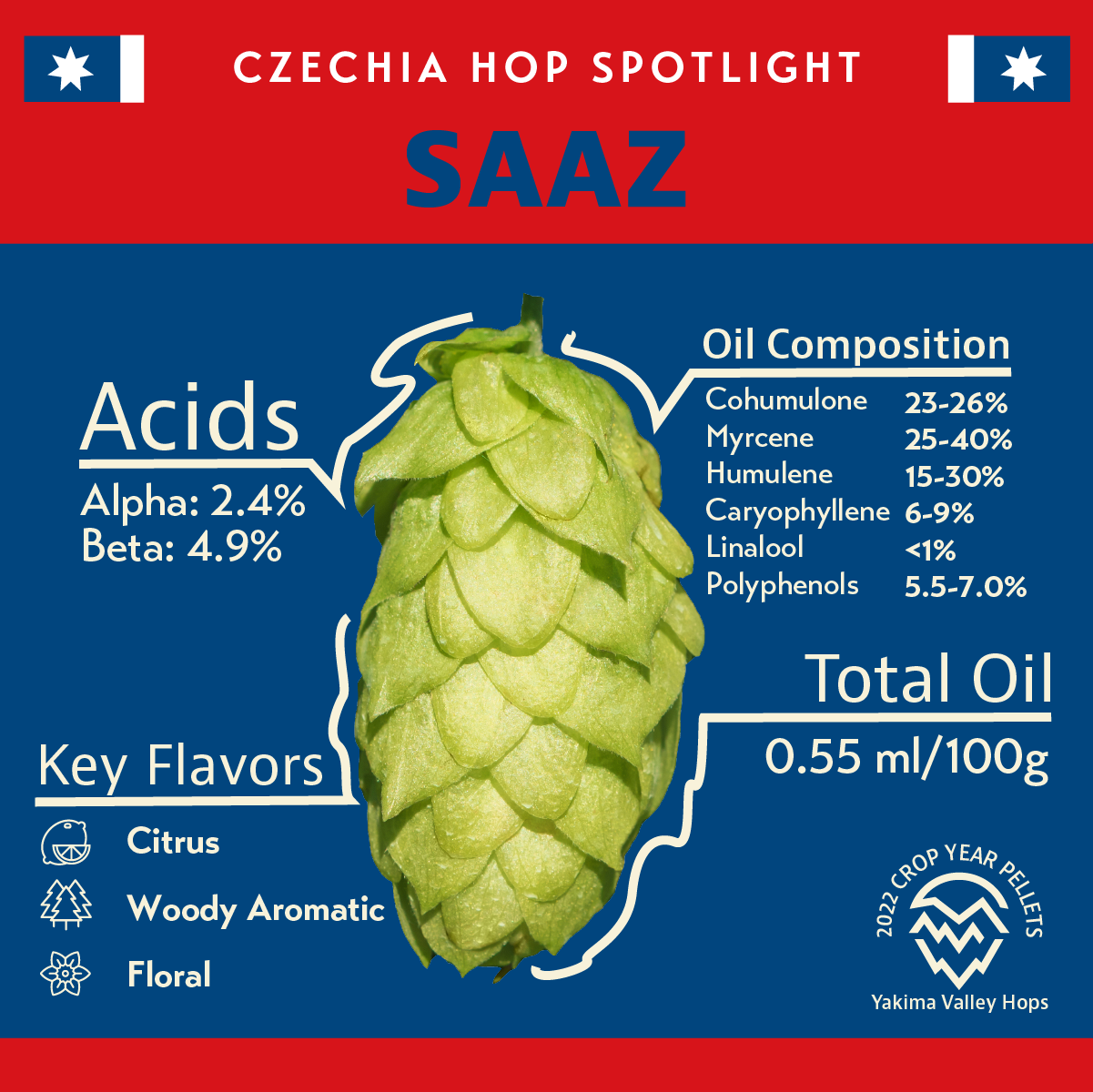 Saaz Spotlight