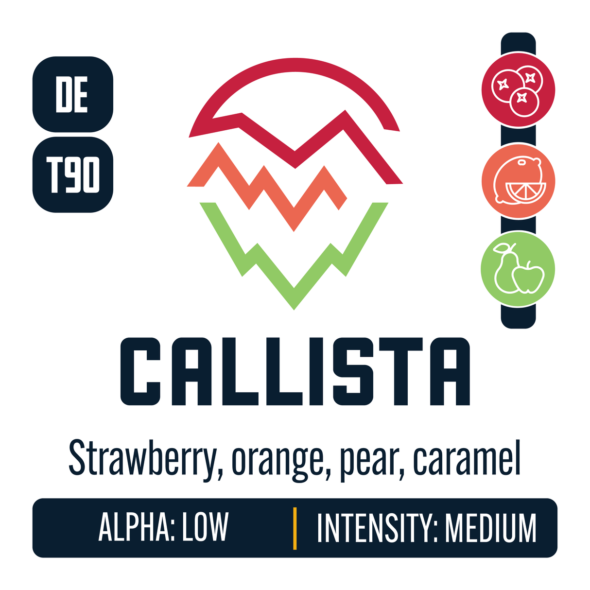 Callista Hop Profile: Berry & Currant, Citrus, Green Fruit