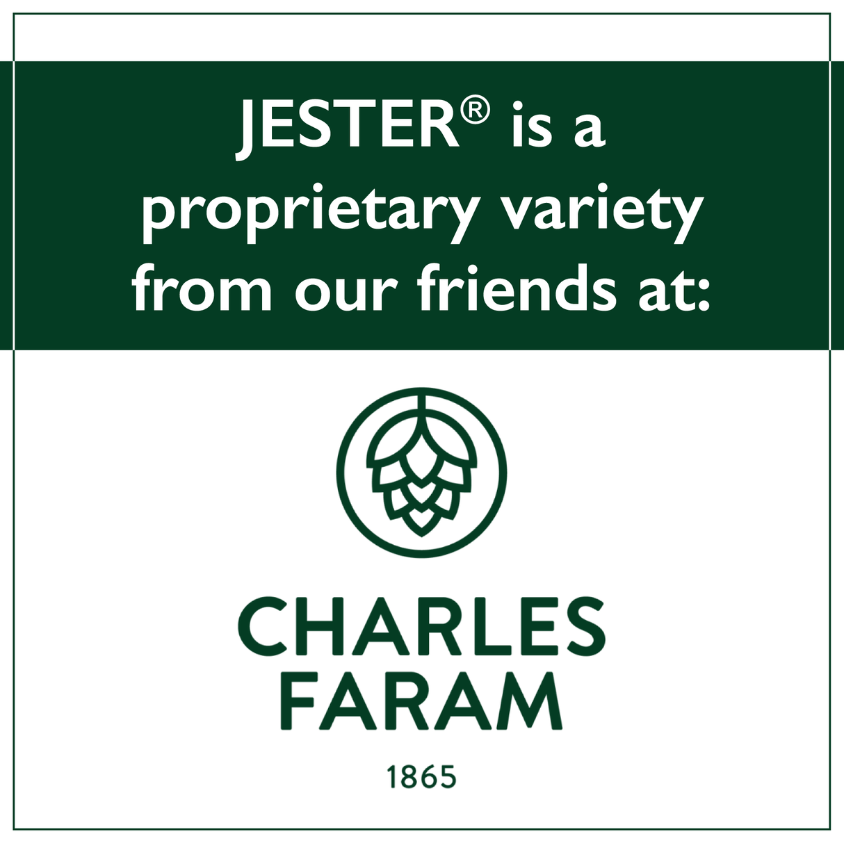 Jester® is a proprietary variety from our friends at Charles Faram