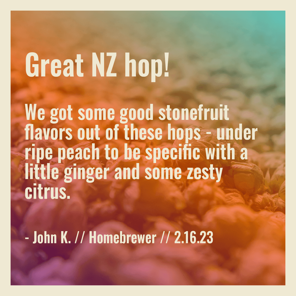 Nectaron Hop Review