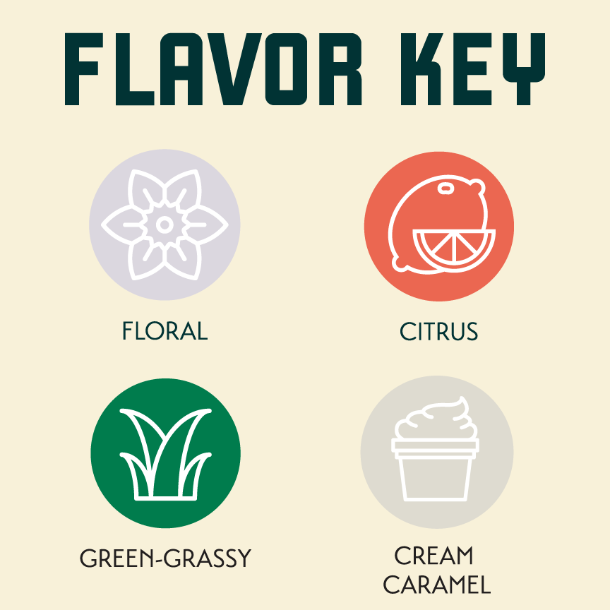 Sasquatch Flavor Key