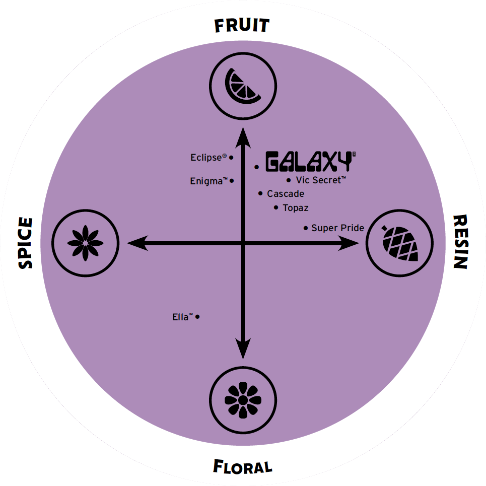 Galaxy Flavor Spectrum