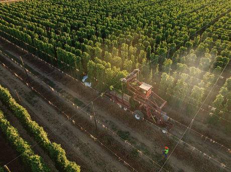 Cluster Hop Harvest 2026