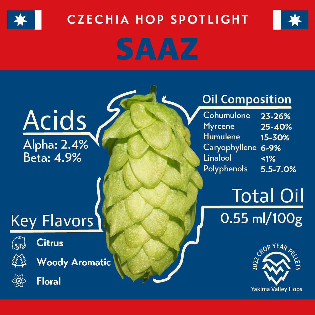 CZ Saaz Hops