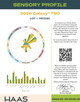 2026 Galaxy Lot MC030 Sensory Analysis PDF: Citrus, Sweet Fruit, Lemon, Lime, and Pineapple.
