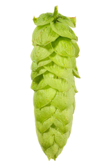 Comet Whole Cone