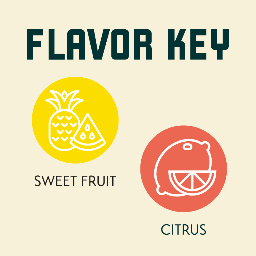 EXP ID-158 Flavor Key
