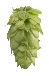 Ella Whole Cone