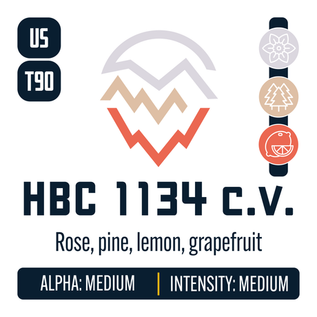 HBC 1134 cv Hop Profile: Floral, Woody Aromatic, Citrus