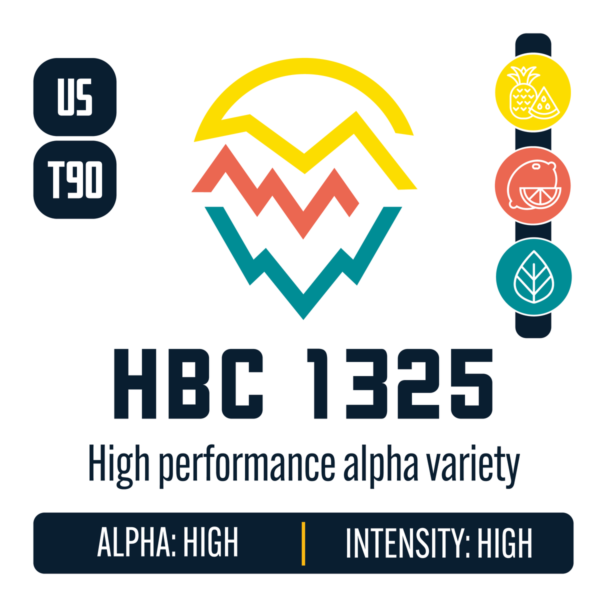HBC 1325 Hop Profile: High Alpha, Sweet Fruit, Citrus