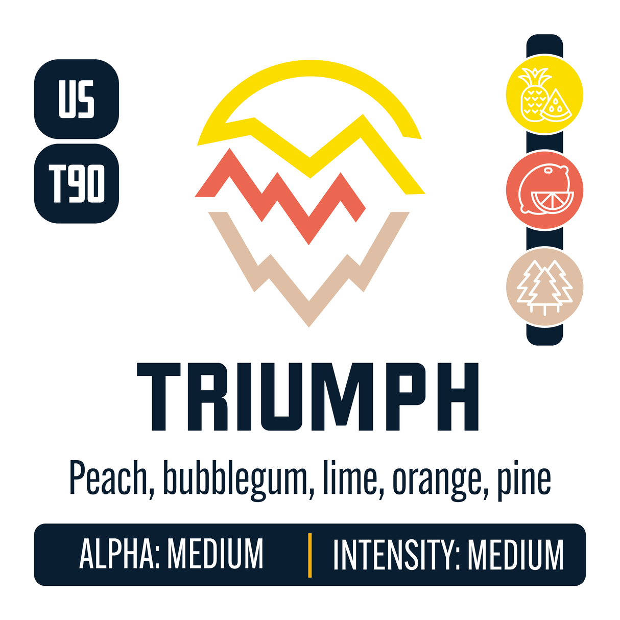 Triumph Hop Profile: Sweet Fruit, Citrus, Woody Aromatic