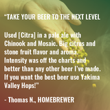 Citra Hop Homebrewer Review