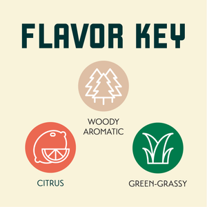 Dr. Rudi Hop Flavor Key