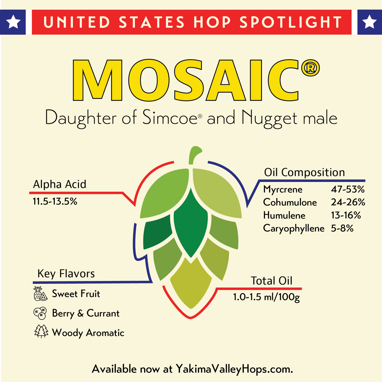 Mosaic Hops