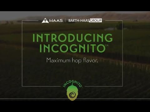 HAAS introduces Incognito 